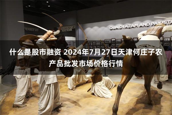 什么是股市融资 2024年7月27日天津何庄子农产品批发