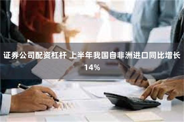 证券公司配资杠杆 上半年我国自非洲进口同比增长14%