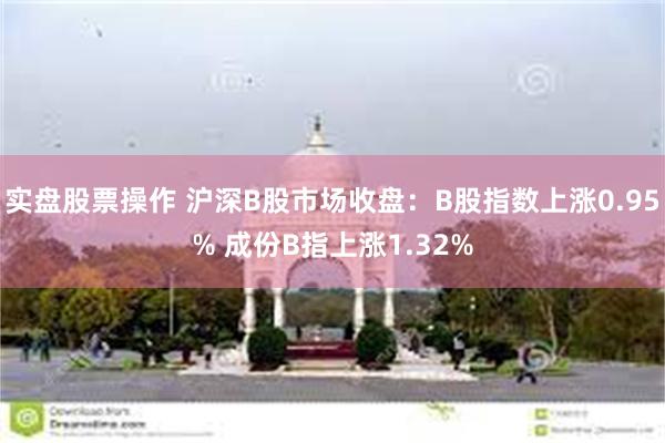 实盘股票操作 沪深B股市场收盘：B股指数上涨0.95% 成份B指上涨1.32%