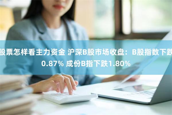 股票怎样看主力资金 沪深B股市场收盘：B股指数下跌0.87% 成份B指下跌1.80%