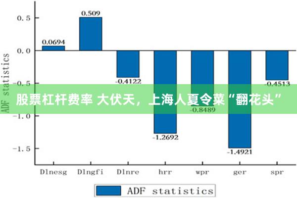 股票杠杆费率 大伏天，上海人夏令菜“翻花头”