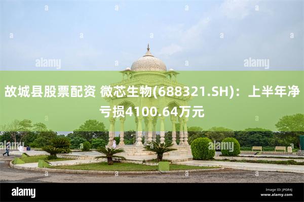 故城县股票配资 微芯生物(688321.SH)：上半年净亏损4100.64万元