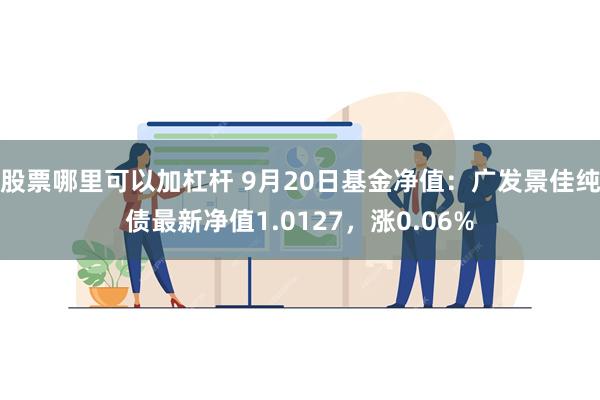 股票哪里可以加杠杆 9月20日基金净值：广发景佳纯债最新净值1.0127，涨0.06%