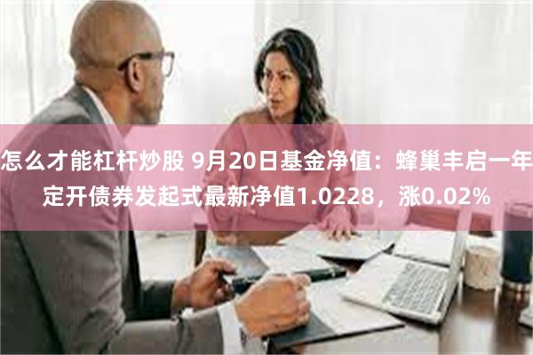 怎么才能杠杆炒股 9月20日基金净值：蜂巢丰启一年定开债券发