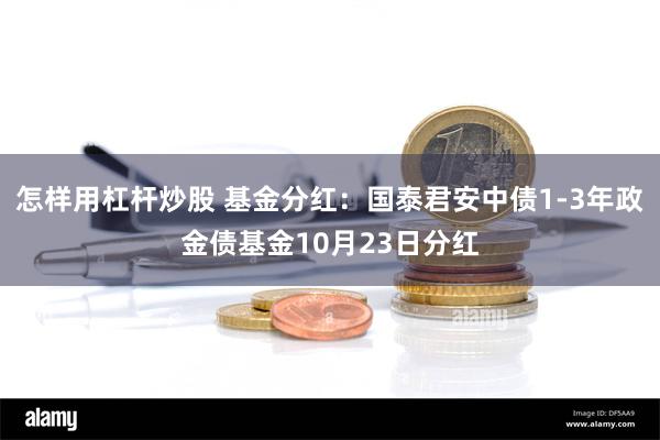 怎样用杠杆炒股 基金分红：国泰君安中债1-3年政金债基金10月23日分红