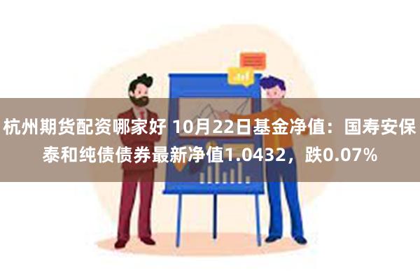 杭州期货配资哪家好 10月22日基金净值：国寿安保泰和纯