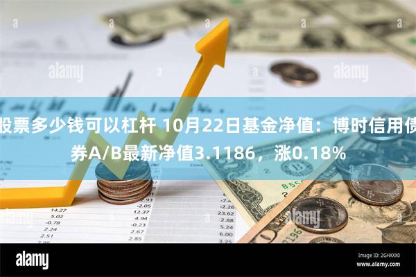 股票多少钱可以杠杆 10月22日基金净值：博时信用债券A