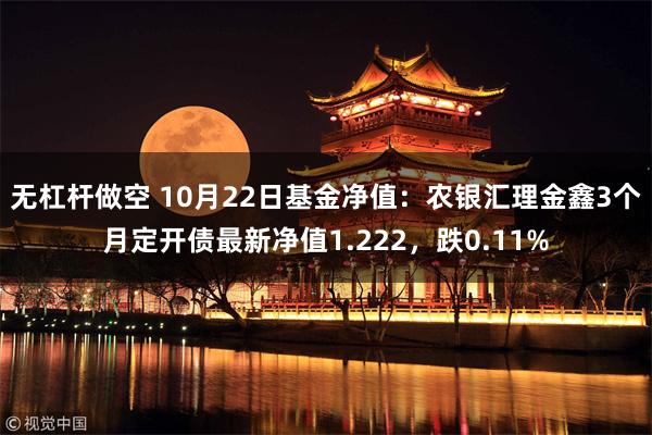 无杠杆做空 10月22日基金净值：农银汇理金鑫3个月定开