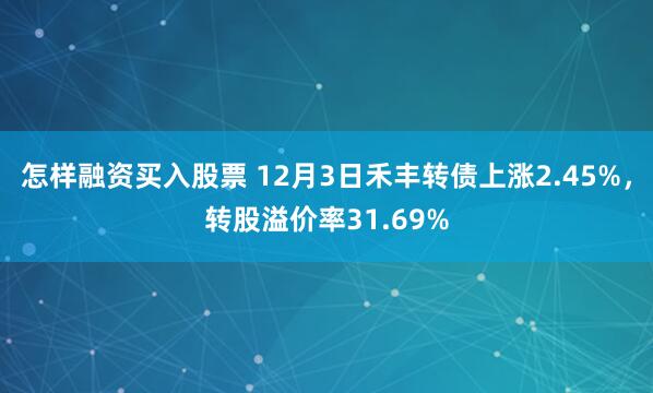 怎样融资买入股票 12月3日禾丰转债上涨2.45%，转股溢价率31.69%