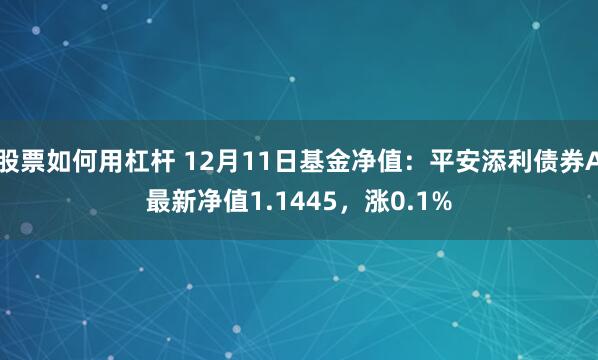 股票如何用杠杆 12月11日基金净值：平安添利债券A最新净值1.1445，涨0.1%