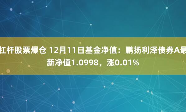 杠杆股票爆仓 12月11日基金净值：鹏扬利泽债券A最新净值1.0998，涨0.01%