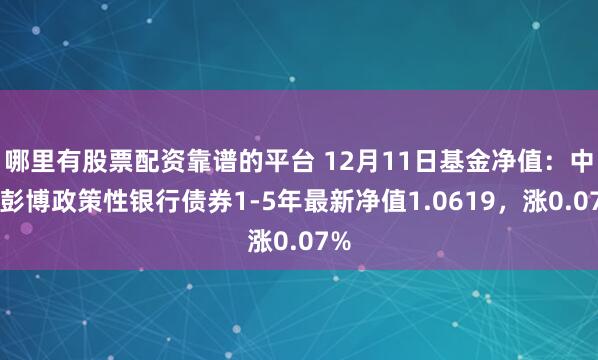 哪里有股票配资靠谱的平台 12月11日基金净值：中银彭博政策性银行债券1-5年最新净值1.0619，涨0.07%