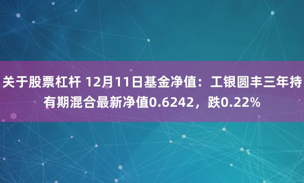 关于股票杠杆 12月11日基金净值：工银圆丰三年持有期混合最新净值0.6242，跌0.22%