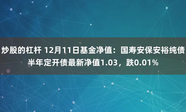 炒股的杠杆 12月11日基金净值：国寿安保安裕纯债半年定开债最新净值1.03，跌0.01%