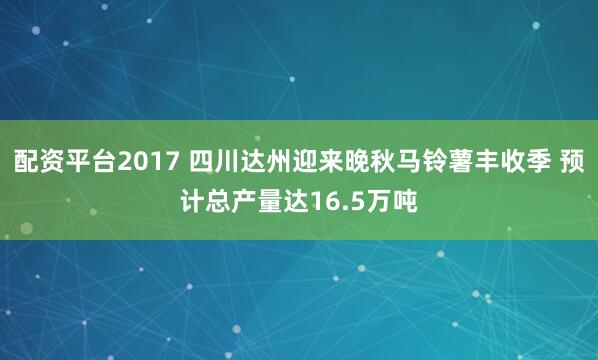 配资平台2017 四川达州迎来晚秋马铃薯丰收季 预计总产量达16.5万吨