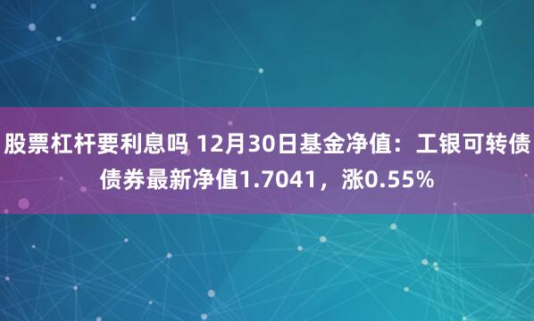 股票杠杆要利息吗 12月30日基金净值：工银可转债债券最新净值1.7041，涨0.55%