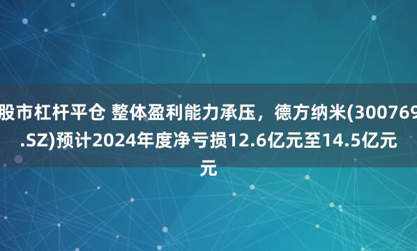 股市杠杆平仓 整体盈利能力承压，德方纳米(300769.SZ)预计2024年度净亏损12.6亿元至14.5亿元