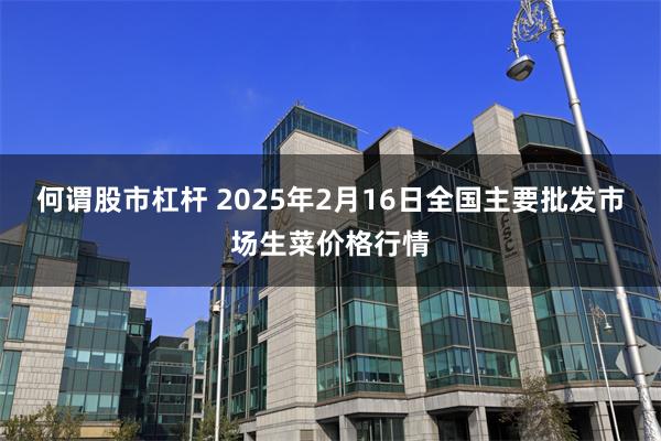 何谓股市杠杆 2025年2月16日全国主要批发市场生菜价格行情