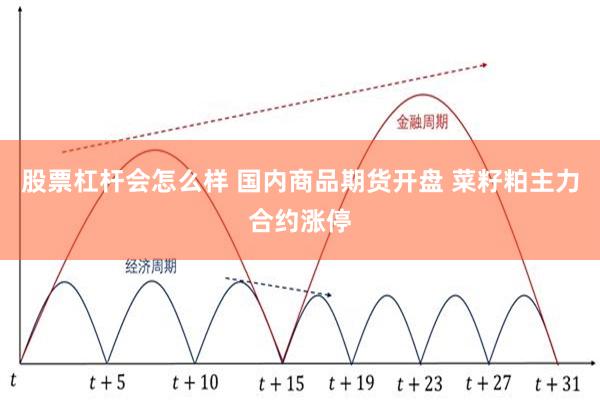 股票杠杆会怎么样 国内商品期货开盘 菜籽粕主力合约涨停