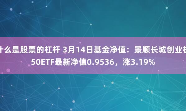 什么是股票的杠杆 3月14日基金净值：景顺长城创业板50ETF最新净值0.9536，涨3.19%